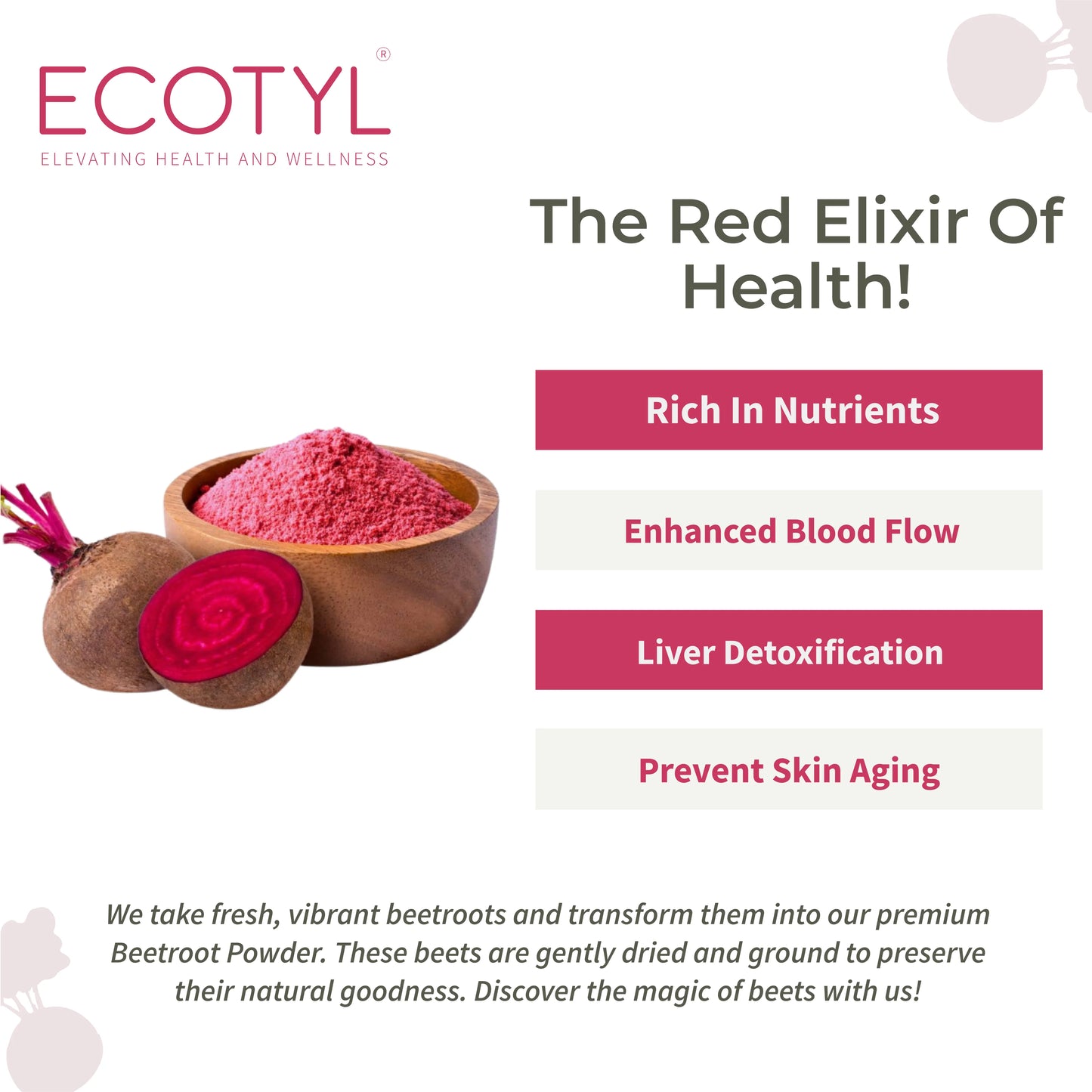 Ecotyl's Beetroot Powder - 100 G