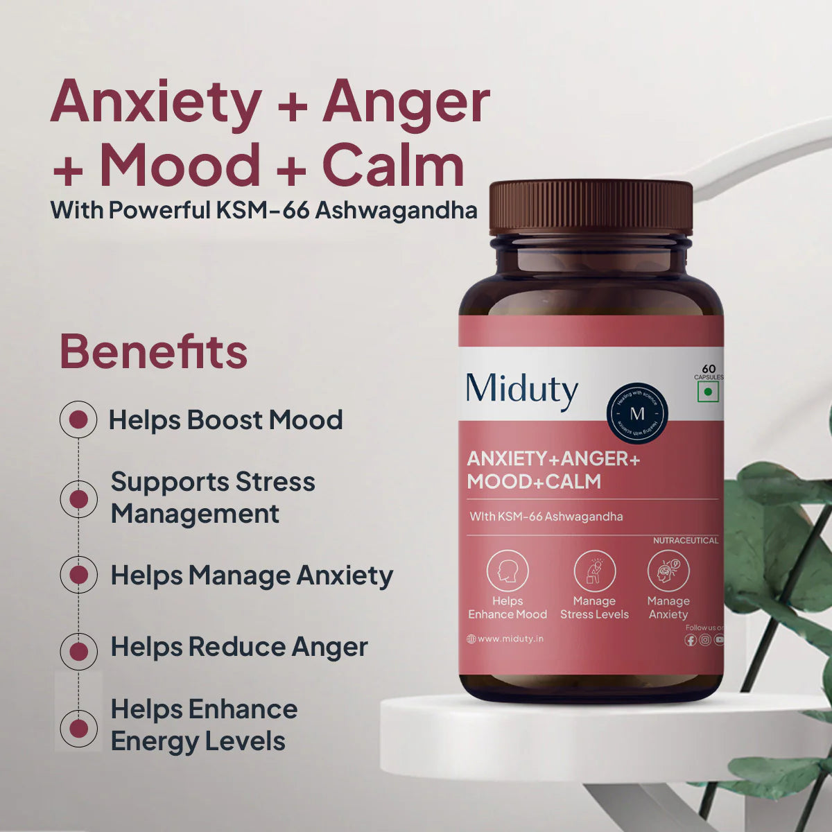 Miduty Anxiety + Anger + Mood + Calm
