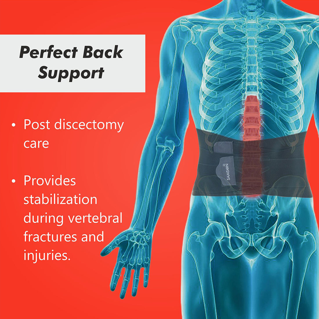Samson Contoured Lumbo Sacral Support