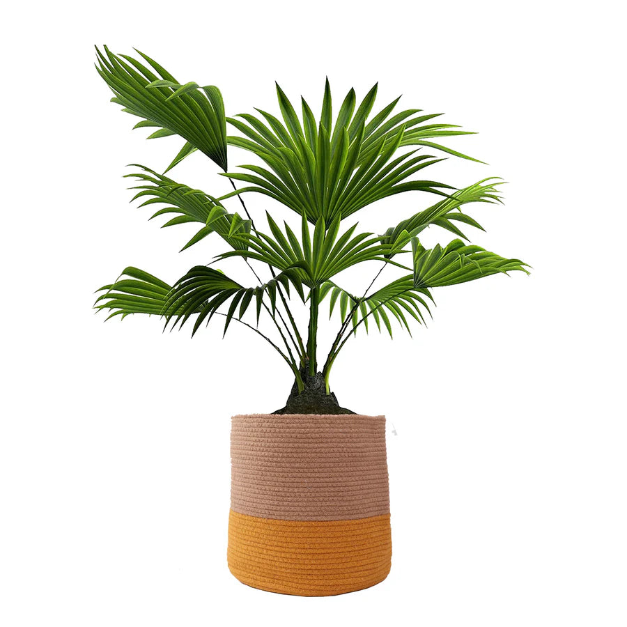 Dual Tone Jute Baskets