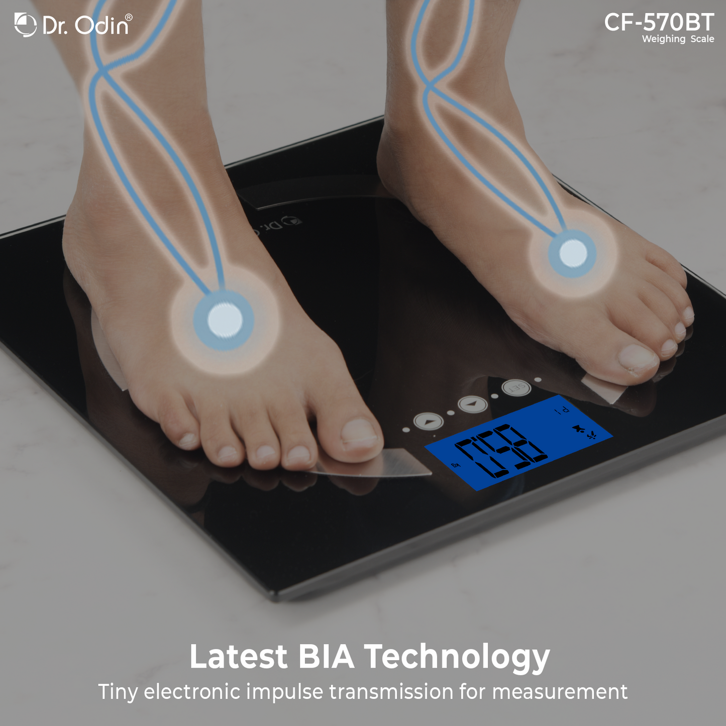 Body Fat Analyzer