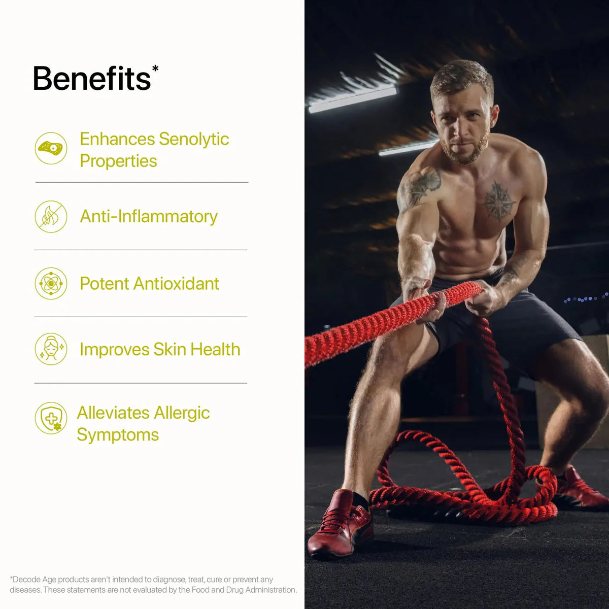 Decode Age SeneVit™ | DA¹ Foundational Senolytic Activator Blend