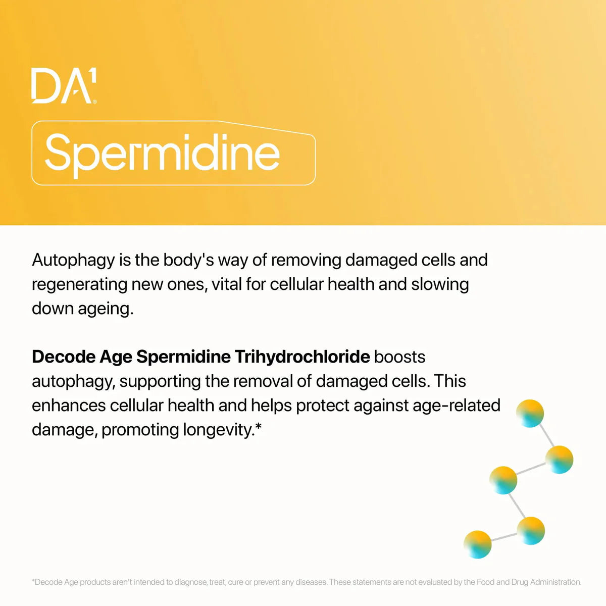 Decode Age Spermidine Trihydrochloride