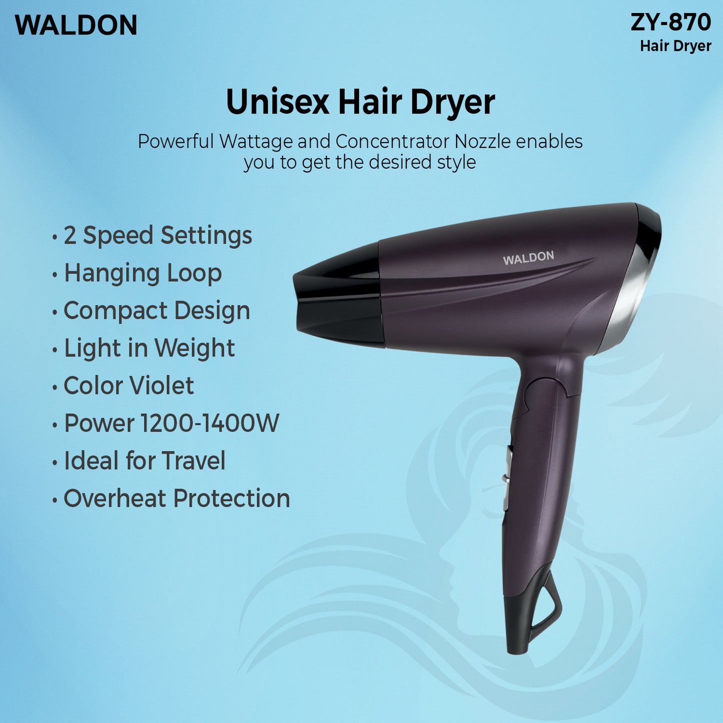 Hair Dryer ZY-870