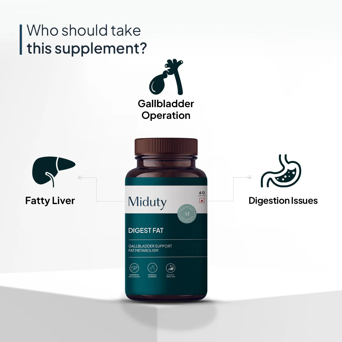 Miduty Digest Fat