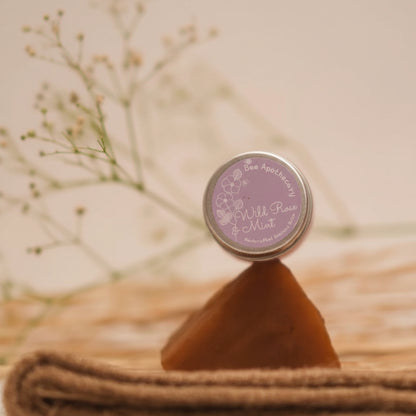 Tenacious Bee Wild Rose & Mint Beeswax Salve
