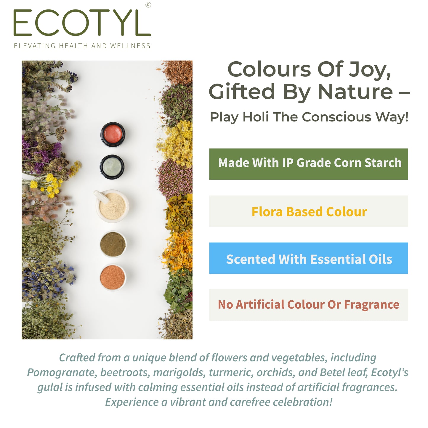 Ecotyl Natural Herbal Gulal | Floral Color & Skin Friendly | Set of 4 Colors (100g Each)