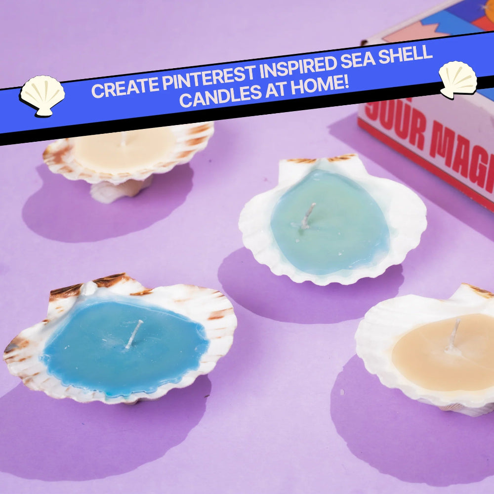 Kitsters DIY COMBO: Shell Candle Kit & DIY Decoupage Shells Kit