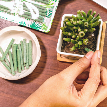 Lazy Gardener GreenStix - All Purpose Plant Food Sticks