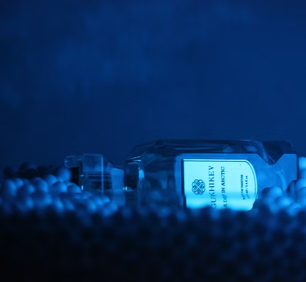 Gukhikev Dip in Artic