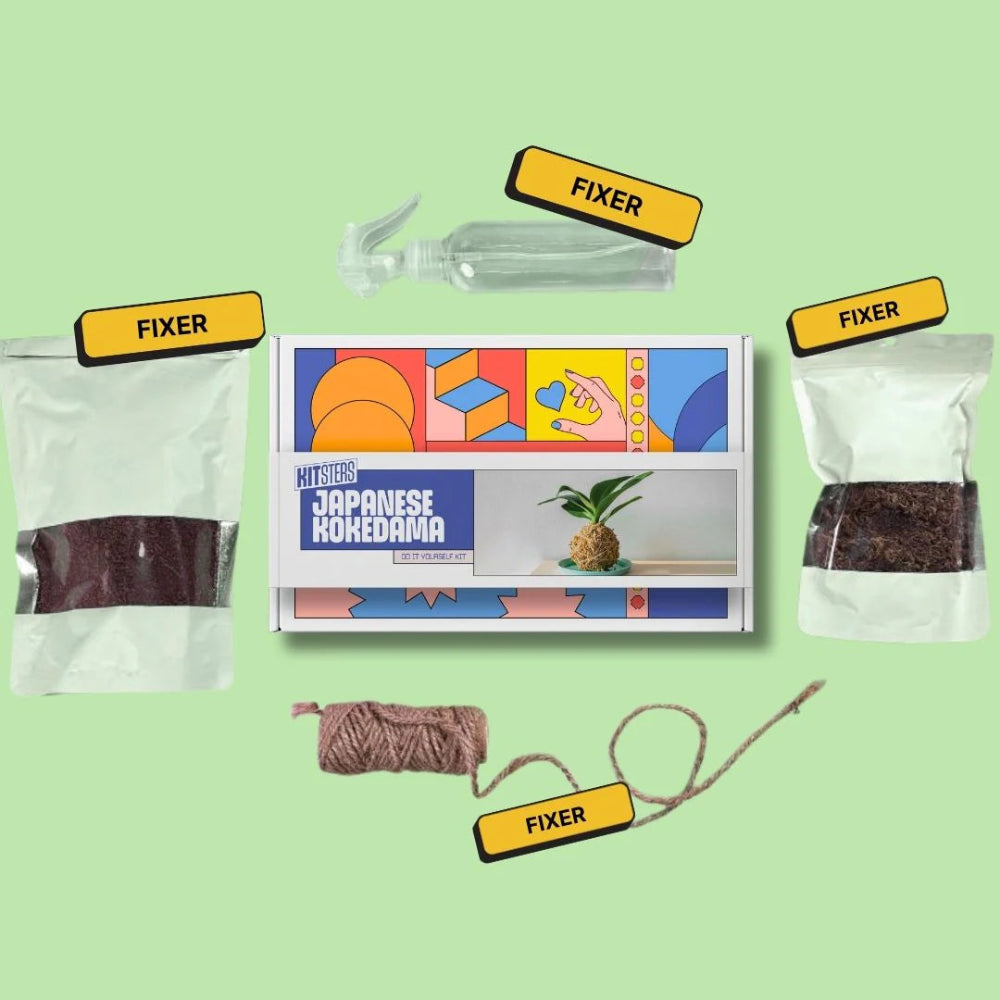Kitsters DIY COMBO : DIY Mini Terrarium Kit & DIY Japanese Kokedama Kit
