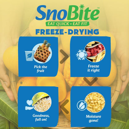 Snobite Ultimate Fruit Pouch Bundle- All 6 Pouches