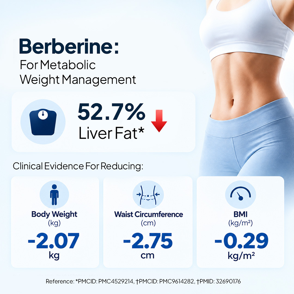 Miduty Berberine HCL 98% Blood Sugar Control Supplement