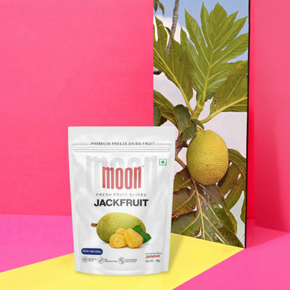 Moon Fruit Chips Jackfruit
