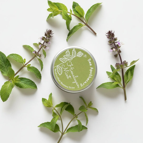 Tenacious Bee Himalayan Mint Beeswax Salve