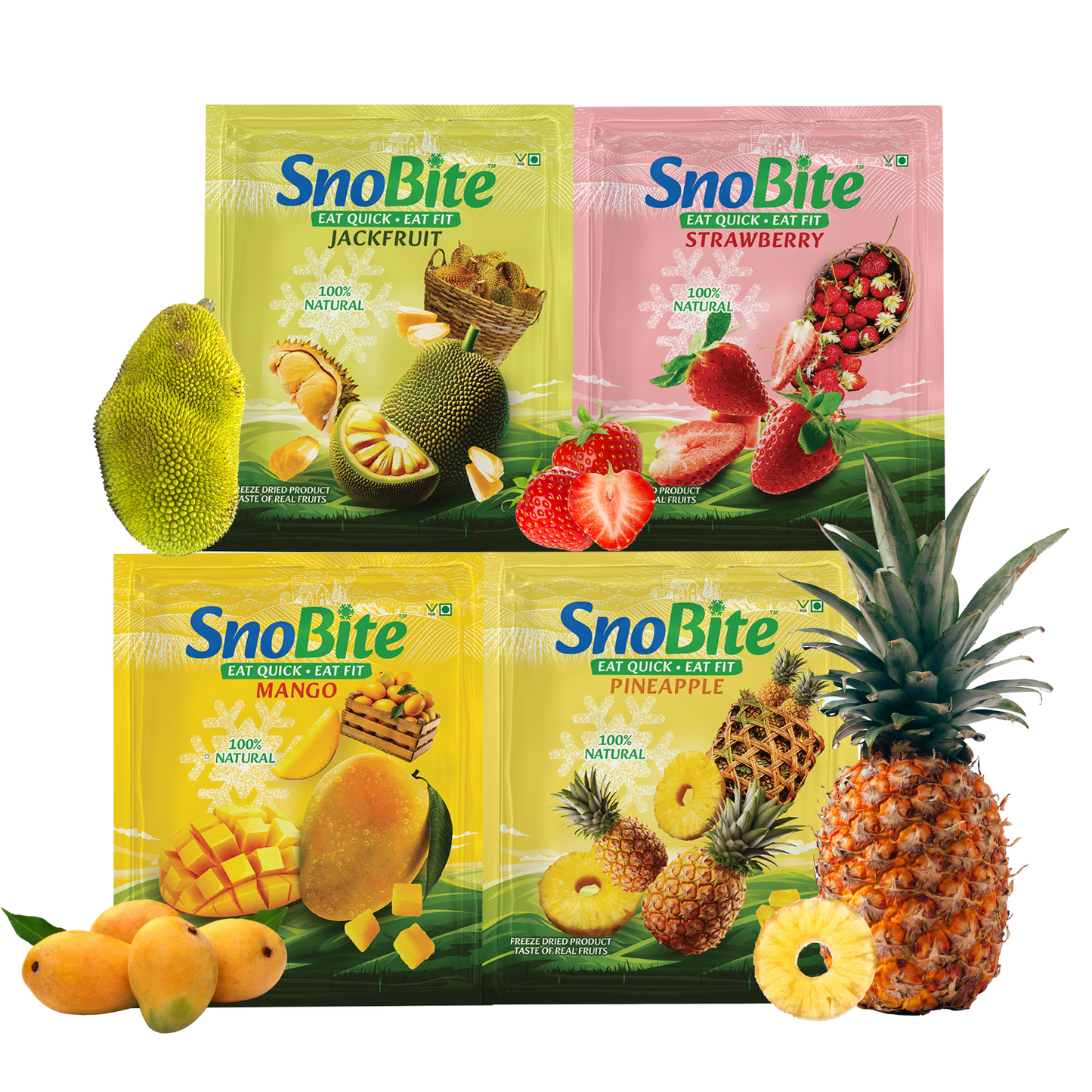 Snobite's Bestseller Bundle- Mango, Pineapple, Strawberry, Jackfruit Pouch