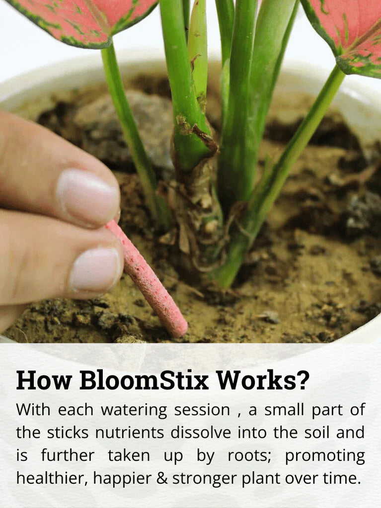 Bloomstix - Flowering Plant Food Sticks ( 50 Fertilizer Sticks)