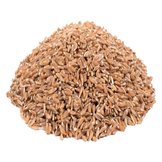 Two Brothers India Farms Ancient Organic Khapli Wheat Grains (Emmer)