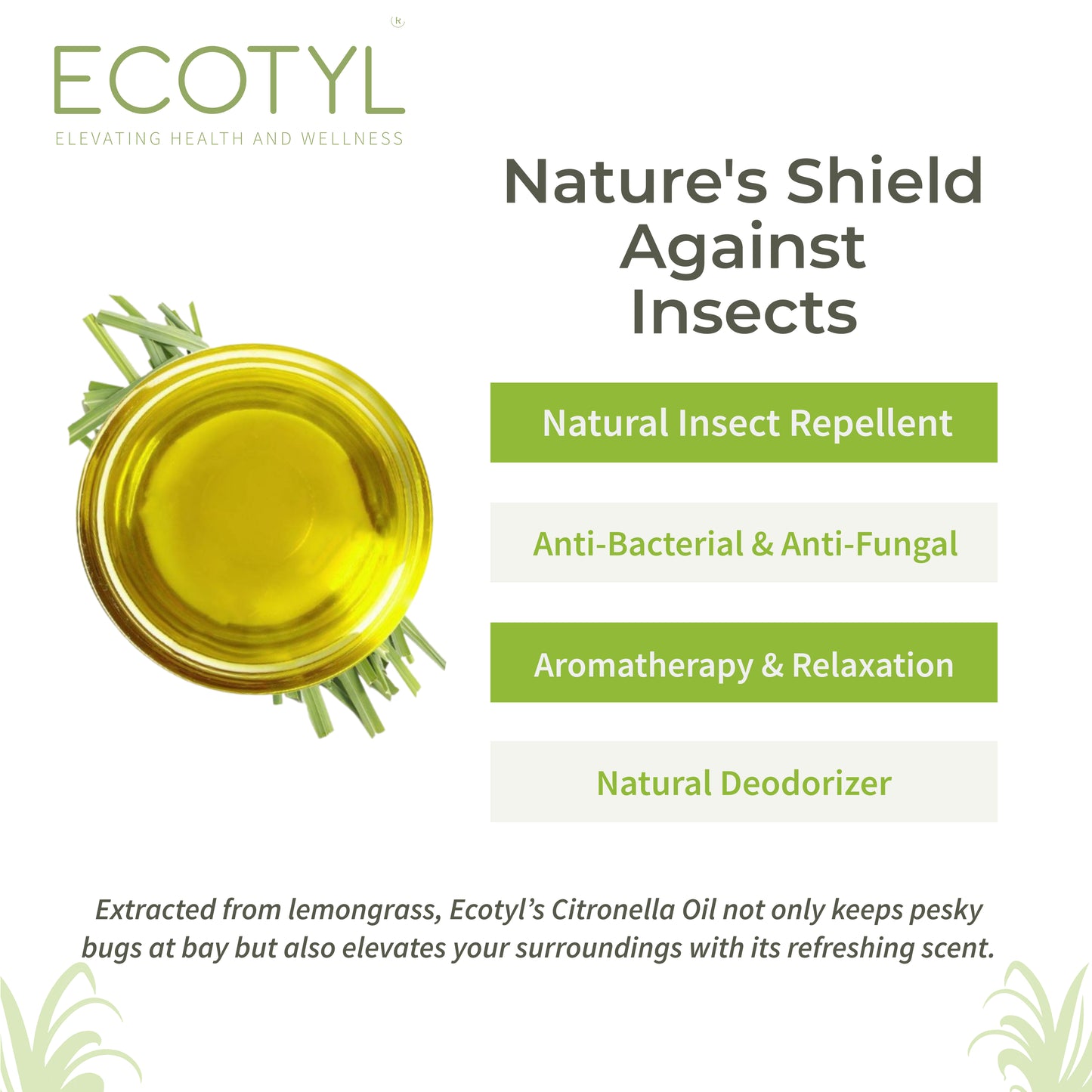 Ecotyl Citronella Oil 100 ML
