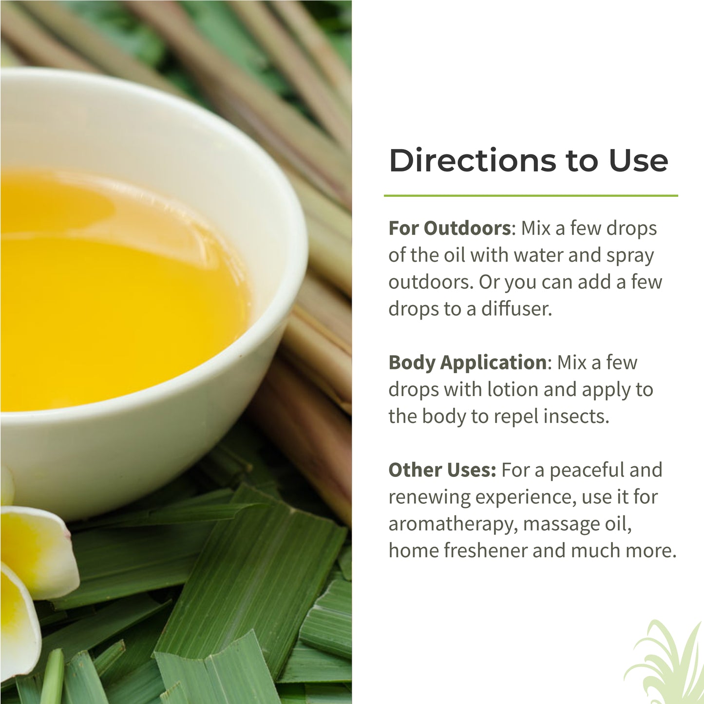 Ecotyl Citronella Oil 100 ML