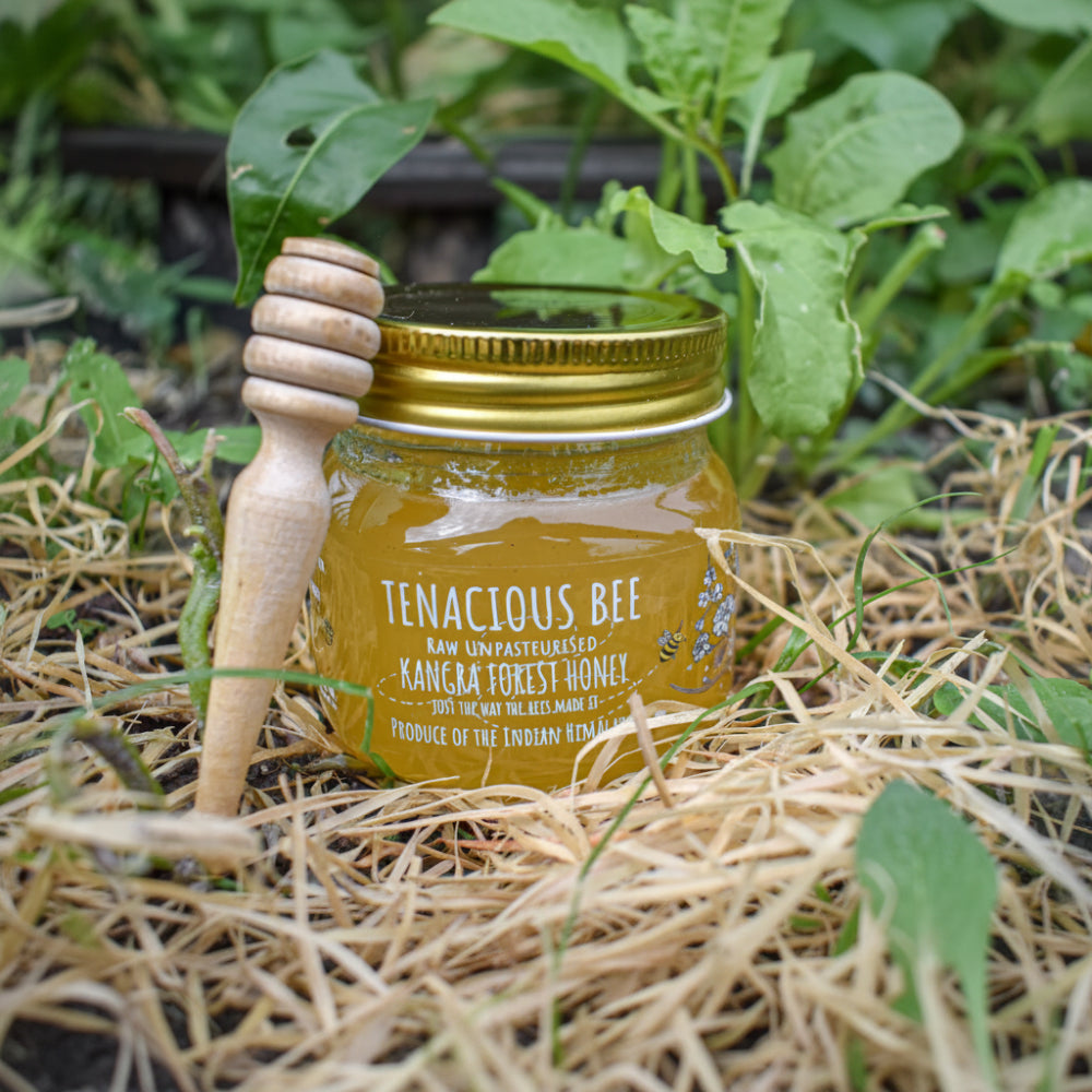 Tenacious Bees Raw Unpasteurised Kangra Forest Honey