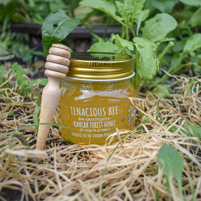 Tenacious Bees Raw Unpasteurised Kangra Forest Honey