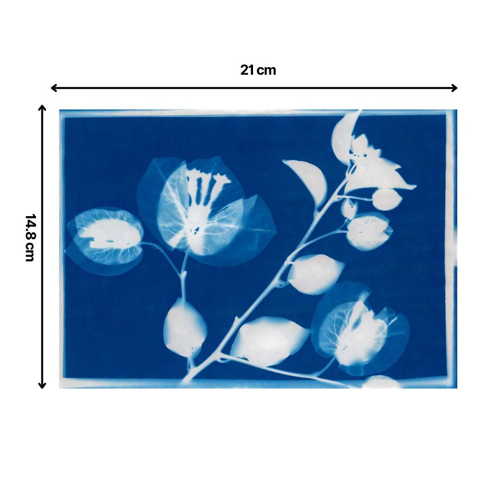 Kitsters DIY Solar Printing Cyanotype Kit