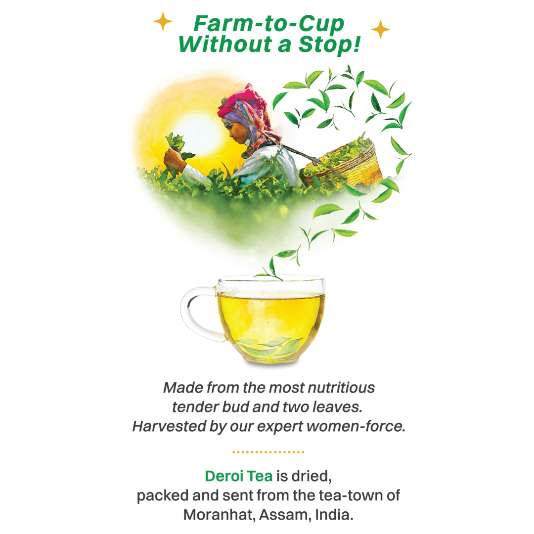 Deroi Tea's Assam Lush Green Tea (Loose Leaf Tea - Bitterless)