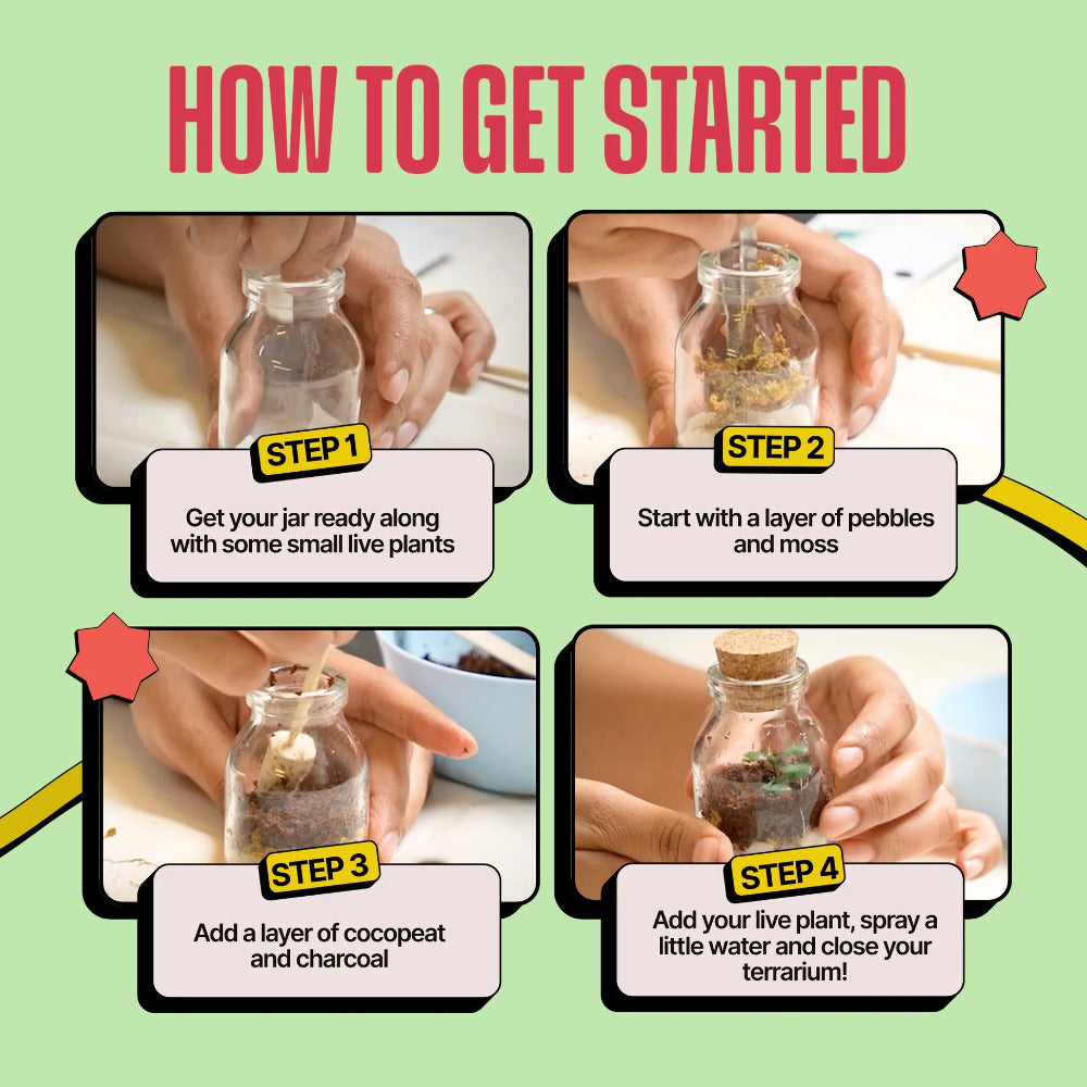 Kitsters DIY COMBO : DIY Mini Terrarium Kit & DIY Japanese Kokedama Kit
