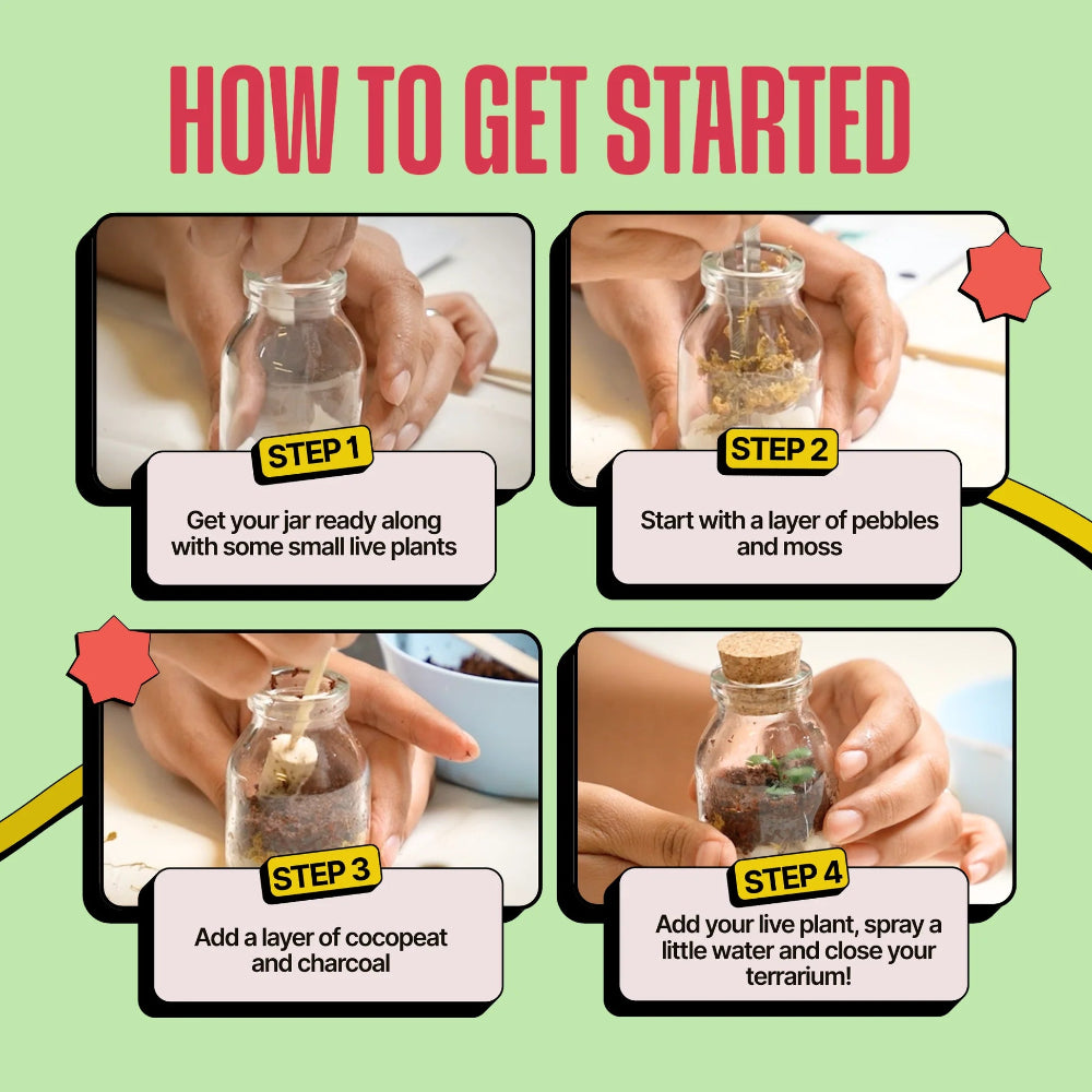 Kitsters DIY COMBO : DIY Mini Terrarium Kit & DIY Japanese Kokedama Kit