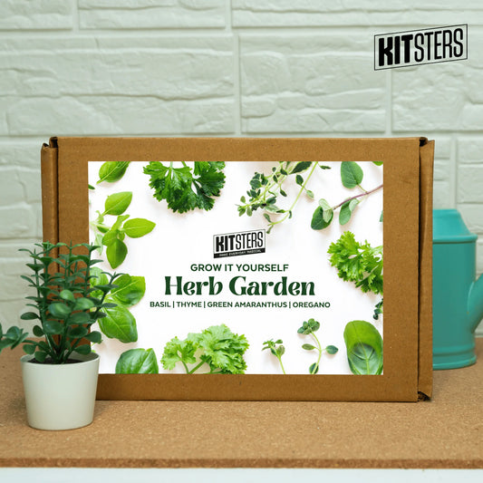 DIY Herb Garden Kit