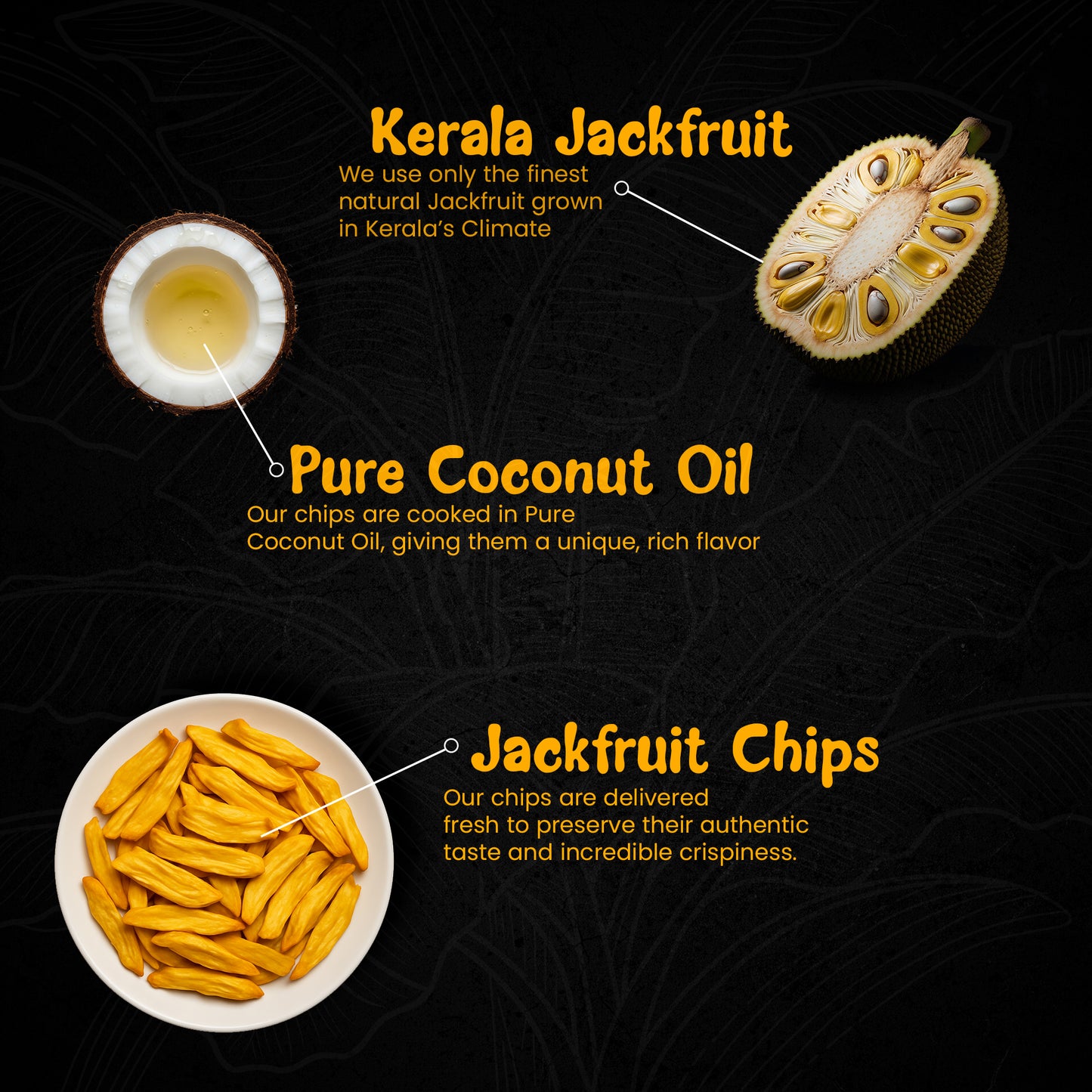 Bites Of Kerala Jackfruit Chips- 100G (Coconut Oil)