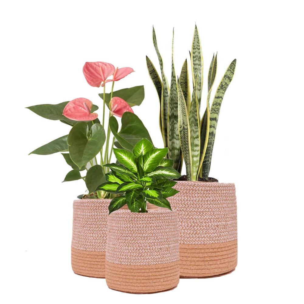 ONEarth Dual Tone Jute Baskets