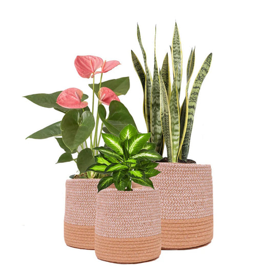 ONEarth Dual Tone Jute Baskets