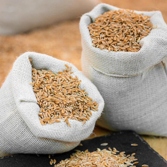 Two Brothers Organic Farms Ancient Organic Khapli Wheat Grains (Emmer)