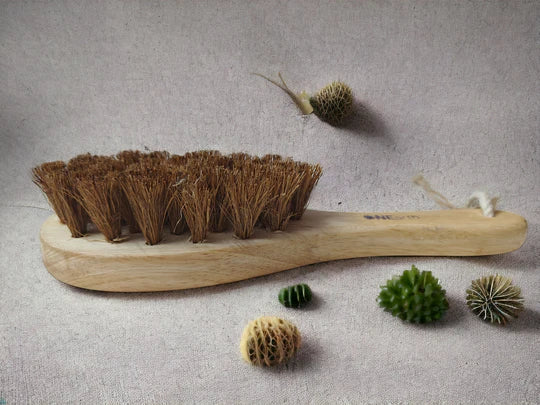 ONEarth Exfoliating Dry Body Coir Brush