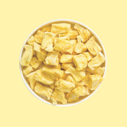 SnoBite Pineapple Stand-up Ziplock Pouch