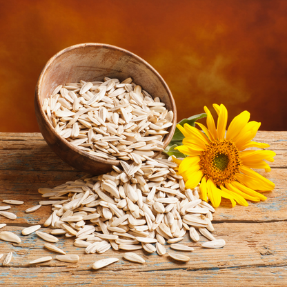 Nxtgen Ayurveda Sunflower Seeds (Pack of 2)