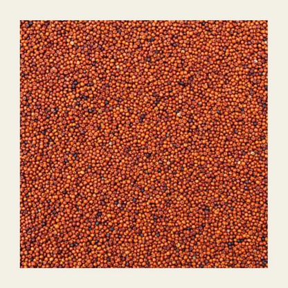 Soil Origin Ragi Whole (Finger Millet) - Set Of 2