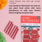 Bloomstix - Flowering Plant Food Sticks ( 50 Fertilizer Sticks)