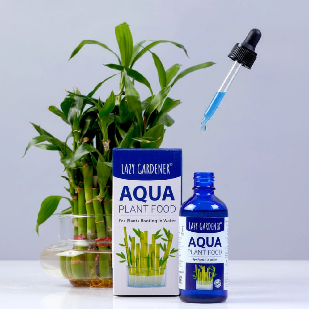 Lazy Gardener Aqua Plant Food - Fertilizer for Plants Growing in Water