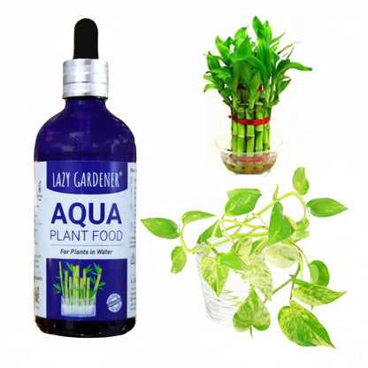 Lazy Gardener Aqua Plant Food - Fertilizer for Plants Growing in Water