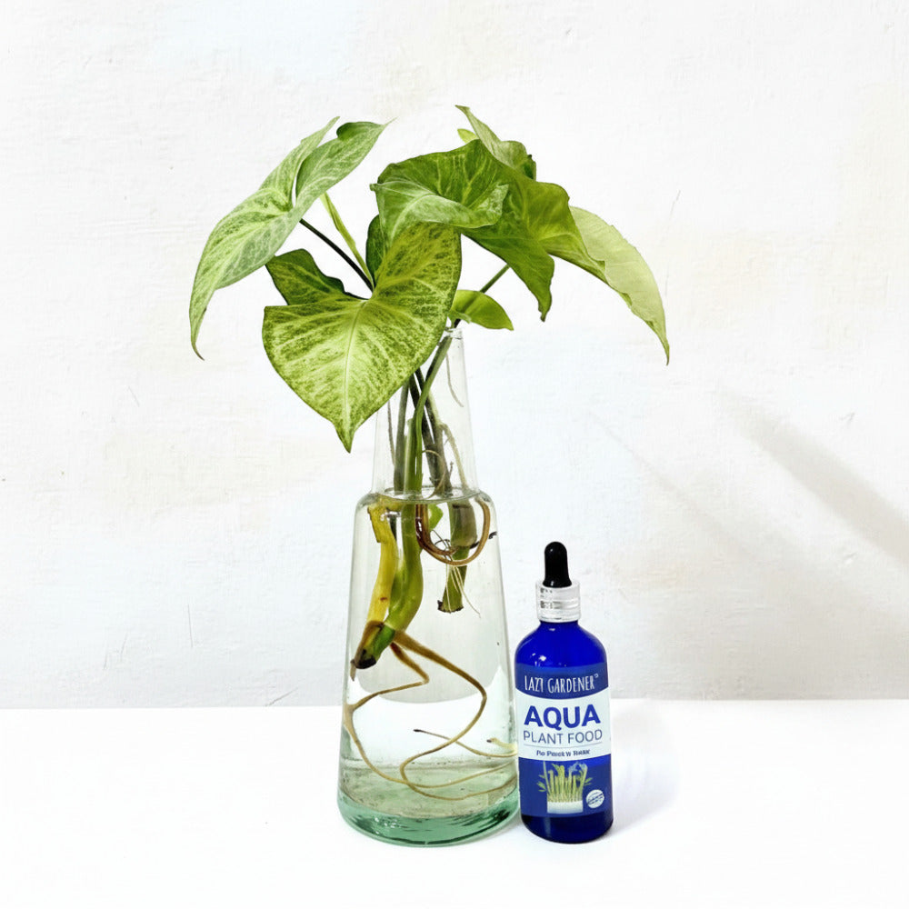 Lazy Gardener Aqua Plant Food - Fertilizer for Plants Growing in Water