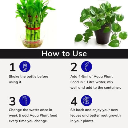 Lazy Gardener Aqua Plant Food - Fertilizer for Plants Growing in Water