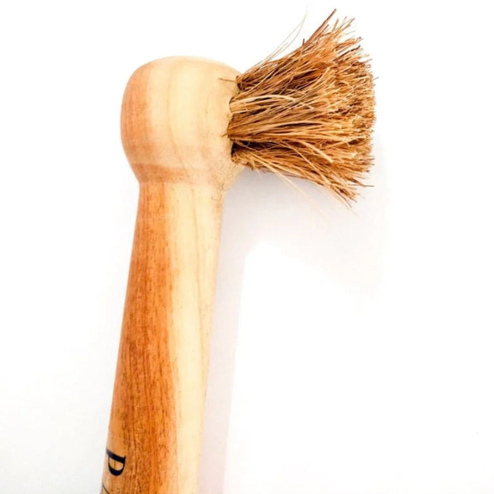 ONEarth Jar Cleaning Coir Brush