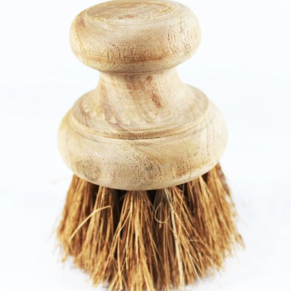 ONEarth Pan Cleaning Coir Brush