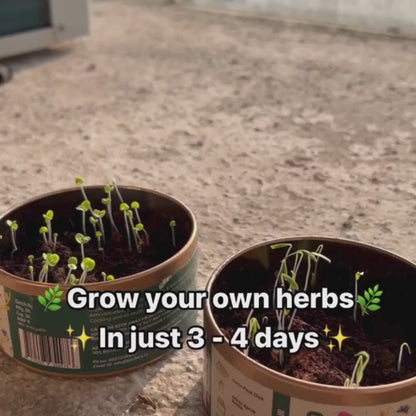 Kitsters DIY Grow In A Can