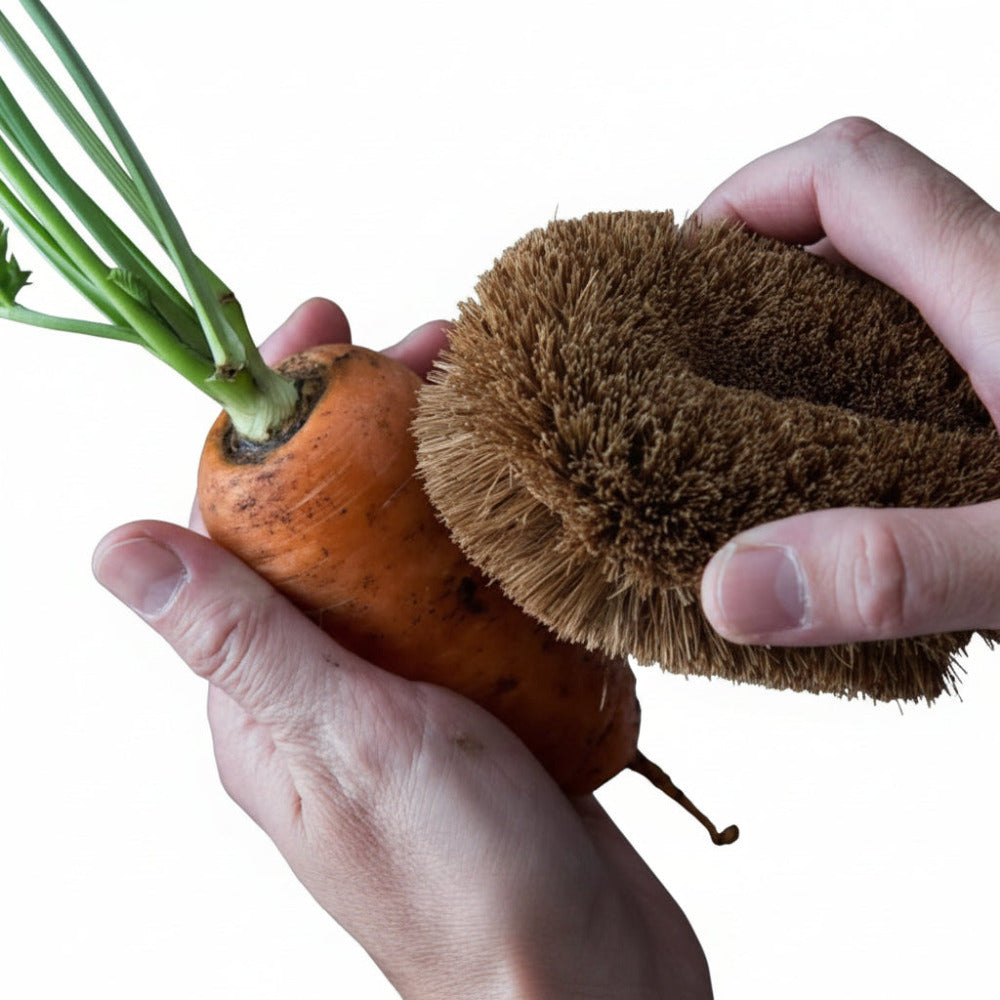 ONEarth Tawashi Vegetable Coir Scrub